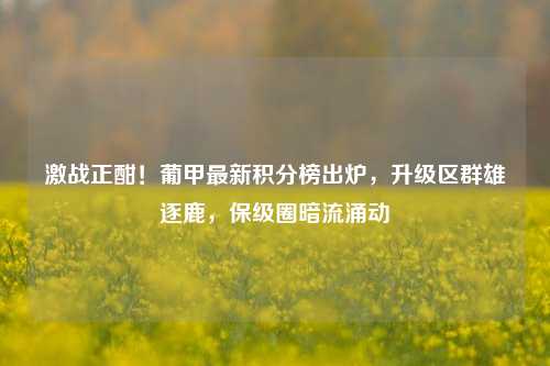 激战正酣！葡甲最新积分榜出炉，升级区群雄逐鹿，保级圈暗流涌动
