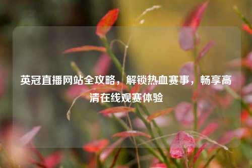 英冠直播网站全攻略，解锁热血赛事，畅享高清在线观赛体验