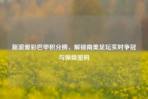新浪爱彩巴甲积分榜，解锁南美足坛实时争冠与保级密码