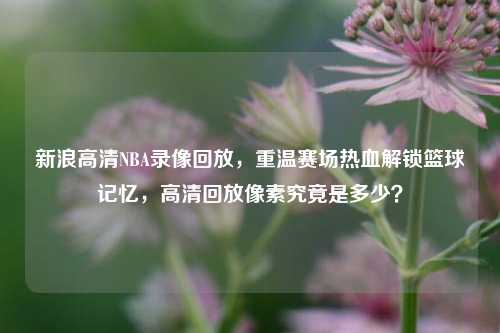 新浪高清NBA录像回放,重温赛场热血解锁篮球记忆,高清回放像素究竟是多少?