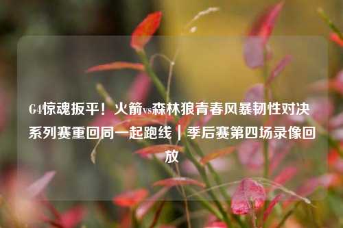 G4惊魂扳平!火箭vs森林狼青春风暴韧性对决 系列赛重回同一起跑线|季后赛第四场录像回放