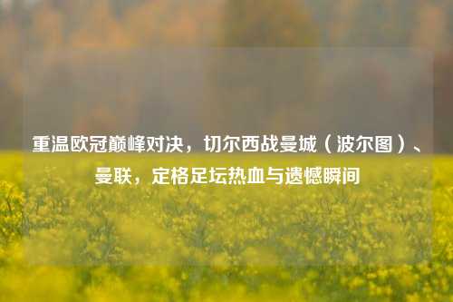 重温欧冠巅峰对决,切尔西战曼城(波尔图)、曼联,定格足坛热血与遗憾瞬间