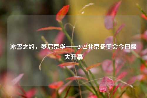 冰雪之约,梦启京华——2022北京冬奥会今日盛大开幕