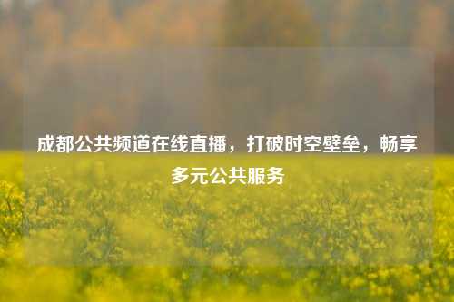 成都公共频道在线直播，打破时空壁垒，畅享多元公共服务