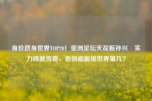 身价跻身世界TOP20!亚洲足坛天花板孙兴慜实力铸就传奇,他到底能排世界第几?