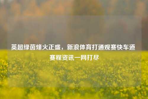英超绿茵烽火正盛,新浪体育打通观赛快车道 赛程资讯一网打尽