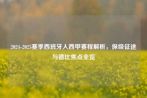 2024-2025赛季西班牙人西甲赛程解析,保级征途与德比焦点全览
