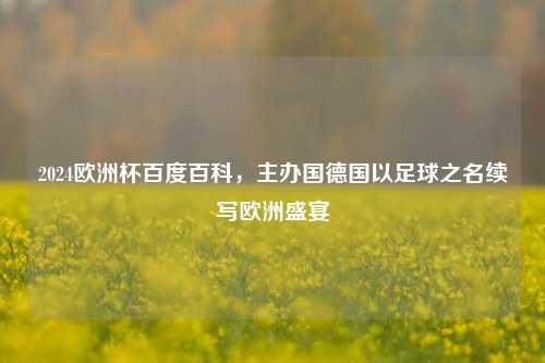 2024欧洲杯百度百科,主办国德国以足球之名续写欧洲盛宴