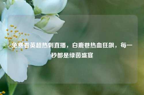 免费看英超热刺直播,白鹿巷热血狂飙,每一秒都是绿茵盛宴