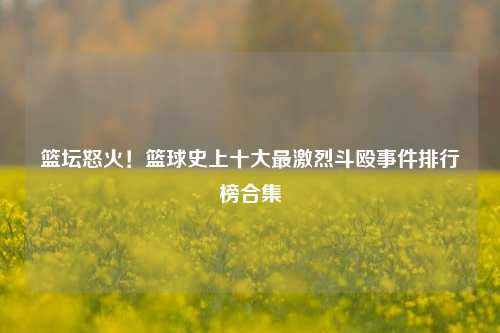 篮坛怒火!篮球史上十大最激烈斗殴事件排行榜合集