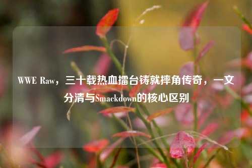 WWE Raw，三十载热血擂台铸就摔角传奇，一文分清与Smackdown的核心区别