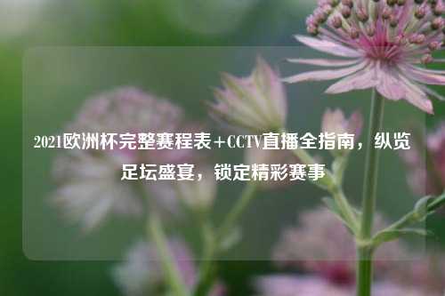 2021欧洲杯完整赛程表+CCTV直播全指南,纵览足坛盛宴,锁定精彩赛事