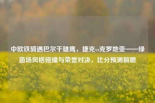 中欧铁骑遇巴尔干雄鹰,捷克vs克罗地亚——绿茵场风格碰撞与荣誉对决,比分预测前瞻