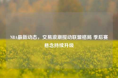 NBA最新动态,交易浪潮搅动联盟格局 季后赛悬念持续升级