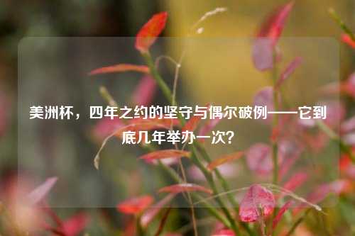 美洲杯,四年之约的坚守与偶尔破例——它到底几年举办一次?