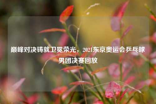 巅峰对决铸就卫冕荣光，2021东京奥运会乒乓球男团决赛回放