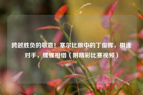 跨越胜负的敬意!塞尔比眼中的丁俊晖,棋逢对手,惺惺相惜(附精彩比赛视频)