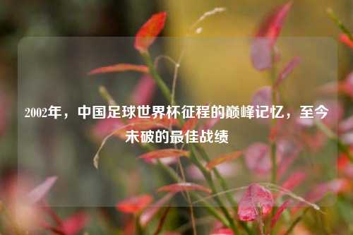 2002年,中国足球世界杯征程的巅峰记忆,至今未破的最佳战绩
