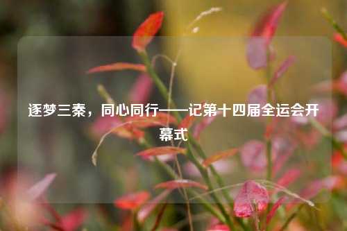 逐梦三秦,同心同行——记第十四届全运会开幕式