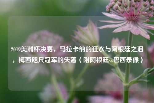 2019美洲杯决赛,马拉卡纳的狂欢与阿根廷之泪,梅西咫尺冠军的失落(附阿根廷vs巴西录像)