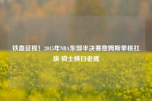 铁血征程!2015年NBA东部半决赛詹姆斯单核扛旗 骑士横扫老鹰