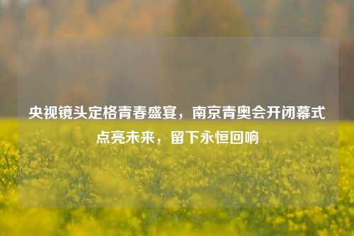 央视镜头定格青春盛宴,南京青奥会开闭幕式点亮未来,留下永恒回响