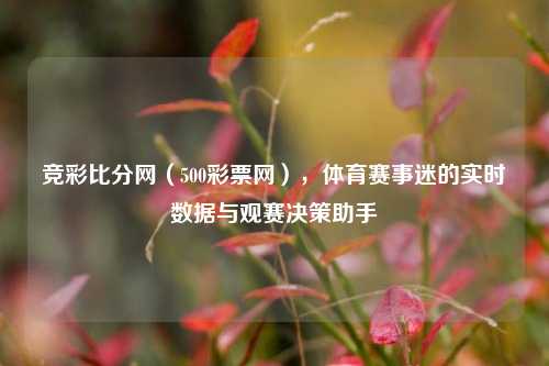 竞彩比分网(500彩票网),体育赛事迷的实时数据与观赛决策助手