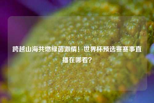 跨越山海共燃绿茵激情！世界杯预选赛赛事直播在哪看？