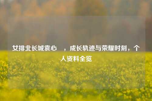女排北长城袁心玥,成长轨迹与荣耀时刻,个人资料全览