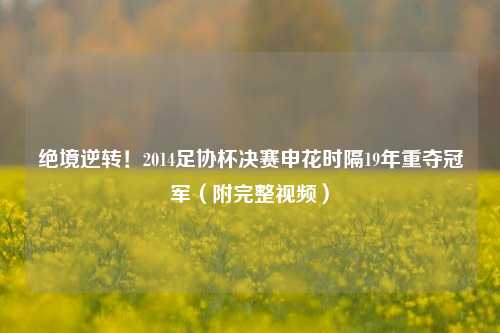 绝境逆转！2014足协杯决赛申花时隔19年重夺冠军（附完整视频）