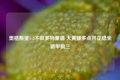 奥格斯堡1-3不敌多特蒙德 大黄蜂多点开花稳坐德甲前三