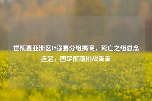 世预赛亚洲区12强赛分组揭晓,死亡之组悬念迭起,国足前路挑战重重