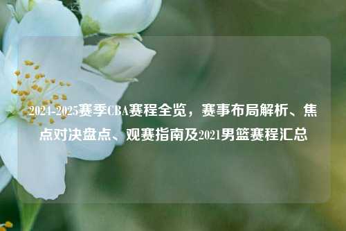 2024-2025赛季CBA赛程全览,赛事布局解析、焦点对决盘点、观赛指南及2021男篮赛程汇总