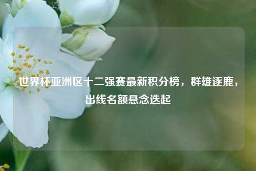 世界杯亚洲区十二强赛最新积分榜,群雄逐鹿,出线名额悬念迭起