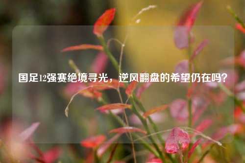 国足12强赛绝境寻光,逆风翻盘的希望仍在吗?