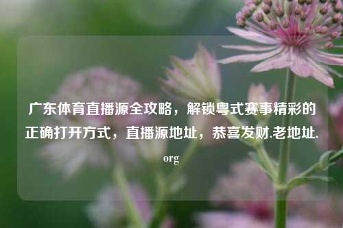广东体育直播源全攻略,解锁粤式赛事精彩的正确打开方式,直播源地址,恭喜发财.老地址.org