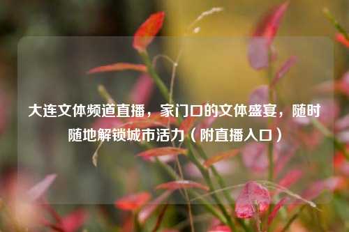 大连文体频道直播，家门口的文体盛宴，随时随地解锁城市活力（附直播入口）