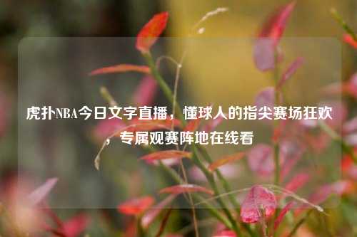 虎扑NBA今日文字直播,懂球人的指尖赛场狂欢,专属观赛阵地在线看