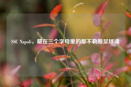 SSC Napoli,藏在三个字母里的那不勒斯足球魂