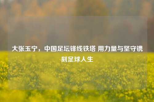 大张玉宁,中国足坛锋线铁塔 用力量与坚守镌刻足球人生
