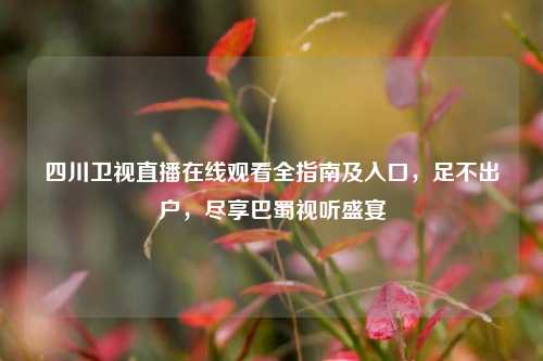 四川卫视直播在线观看全指南及入口，足不出户，尽享巴蜀视听盛宴
