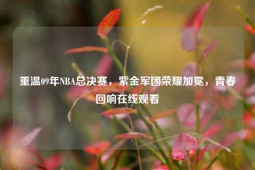 重温09年NBA总决赛,紫金军团荣耀加冕,青春回响在线观看