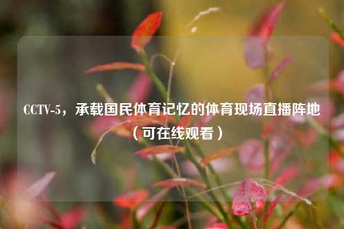 CCTV-5,承载国民体育记忆的体育现场直播阵地(可在线观看)