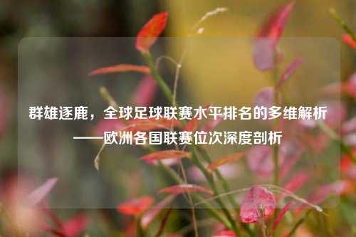 群雄逐鹿,全球足球联赛水平排名的多维解析——欧洲各国联赛位次深度剖析