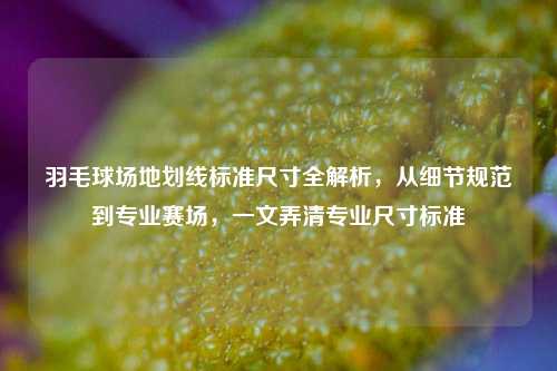 羽毛球场地划线标准尺寸全解析,从细节规范到专业赛场,一文弄清专业尺寸标准