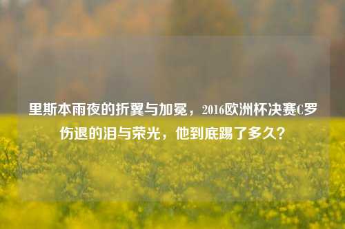 里斯本雨夜的折翼与加冕,2016欧洲杯决赛C罗伤退的泪与荣光,他到底踢了多久?