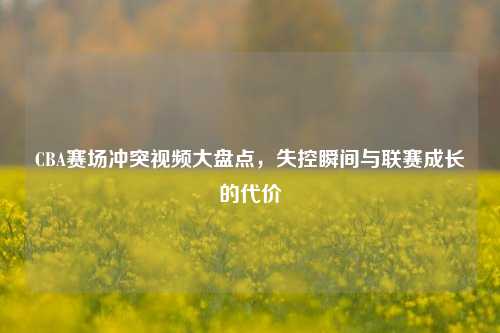 CBA赛场冲突视频大盘点,失控瞬间与联赛成长的代价