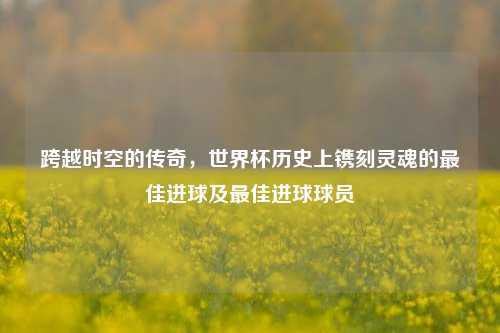 跨越时空的传奇,世界杯历史上镌刻灵魂的最佳进球及最佳进球球员