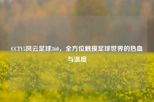 CCTV5风云足球360,全方位触摸足球世界的热血与温度