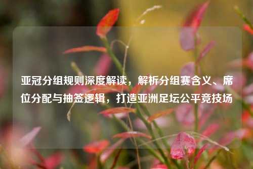 亚冠分组规则深度解读,解析分组赛含义、席位分配与抽签逻辑,打造亚洲足坛公平竞技场